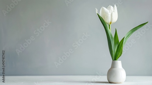 Minimalist Photograph of a White Tulip in a Small Vase on a Neutral Background â€“ Perfect for Home Decor, Minimalist Art, and Floral Themes