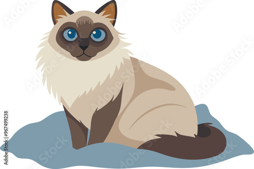 A cat with blue eyes sits on a blue blanket