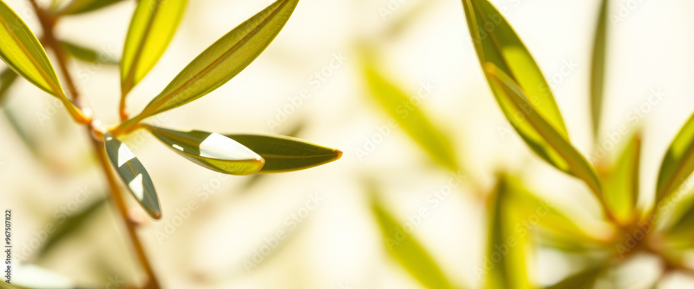 Obraz premium Closeup of Green Leaves in Soft Light
