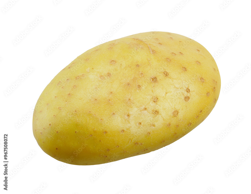 Raw Potato isolated on white background. Raw Potato isolated on white background.