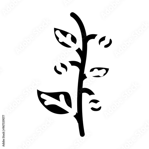 ashwagandha ayurvedic herb glyph icon vector. ashwagandha ayurvedic herb sign. isolated symbol illustration