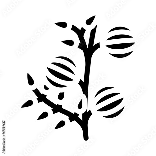 amla ayurvedic herb glyph icon vector. amla ayurvedic herb sign. isolated symbol illustration