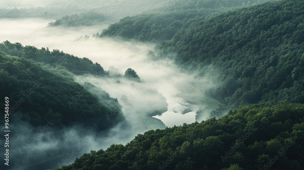 Misty Morning Over a River Valley Misty Morning Over a River Valley