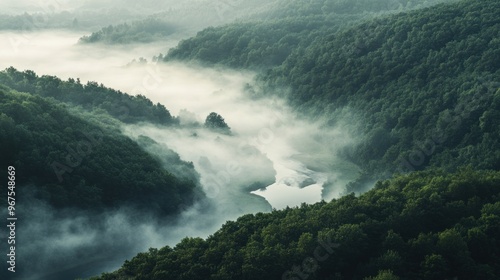 Misty Morning Over a River Valley