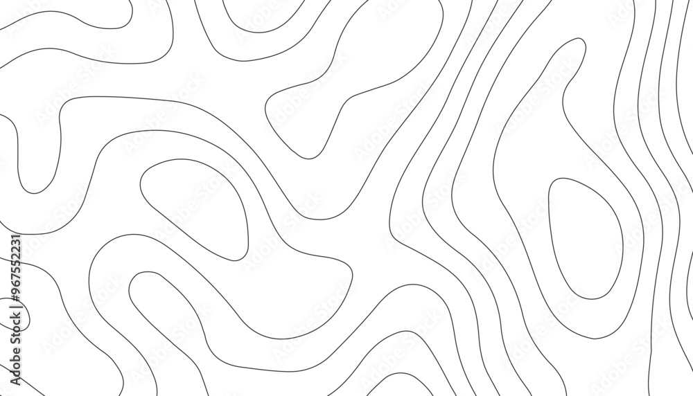 Topographic line map. Abstract circle lines background. Abstract blank detailed topographic contour map. Background of the topographic map. Line topography map contour background. Topographic line map. Abstract circle lines background. Abstract blank detailed topographic contour map. Background of the topographic map. Line topography map contour background.