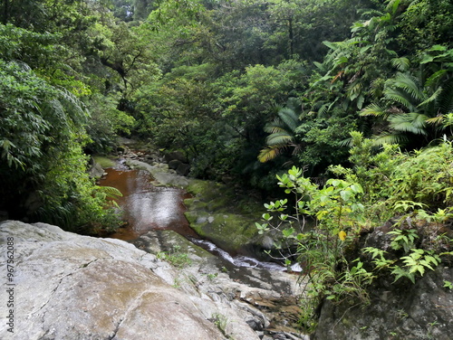 galion river flowing in the jungle, guadeloupe. . Natural caribbean fresh water flowing close to soufriere volcano in rainforest landscape photo