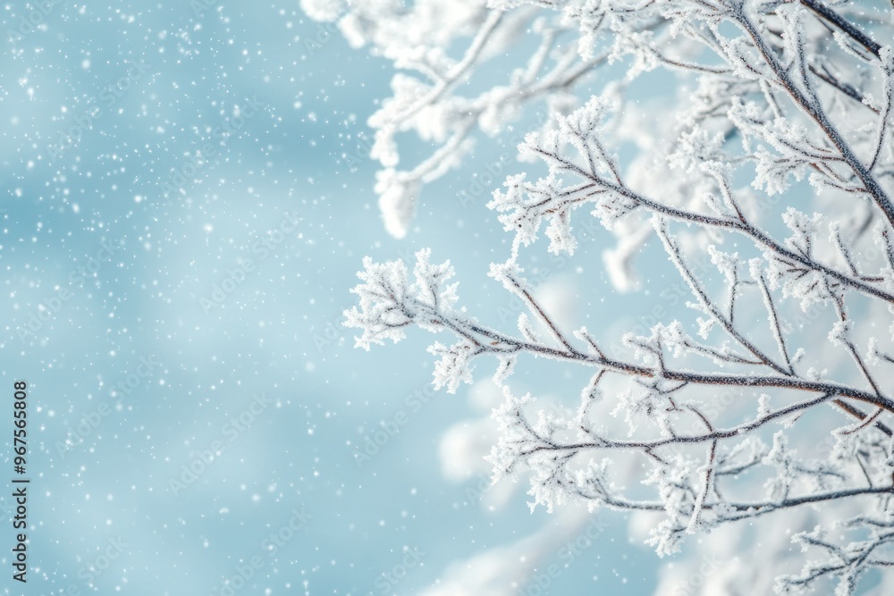 A Frost-Covered Branch in a Snowy Winter Landscape A Frost-Covered Branch in a Snowy Winter Landscape