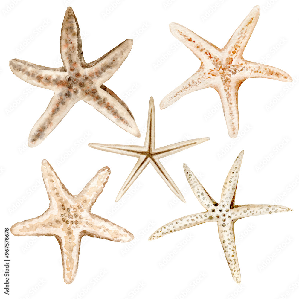 Sea Stars. Watercolor drawing. Hand drawn ocean animals for nautical and seaside designs in monochromatic pastel colors. Sea Stars. Watercolor drawing. Hand drawn ocean animals for nautical and seaside designs in monochromatic pastel colors.