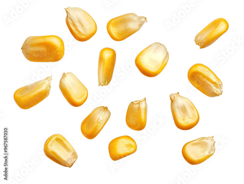 Corn seeds flying  in air, isolated over transparent background, png ready cut-out photo