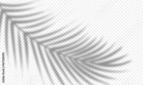 black silhouette palm leaf shadow overlay isolated on transparent banner design