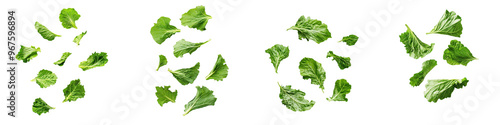 falling mustard greens on white background, transparent background