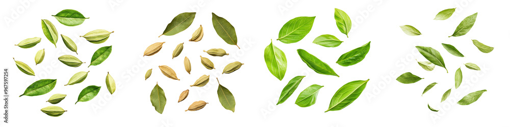 Naklejka premium falling cardamom leaves on white background, transparent background