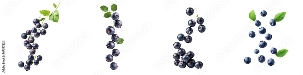 falling ripe bilberries on white background, full depth of field, transparent background falling ripe bilberries on white background, full depth of field, transparent background