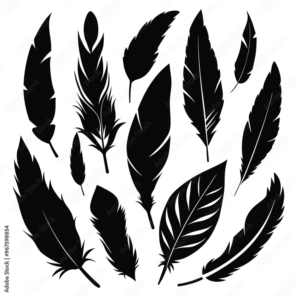 Obraz premium Elegant Feather Silhouettes Vector Set.