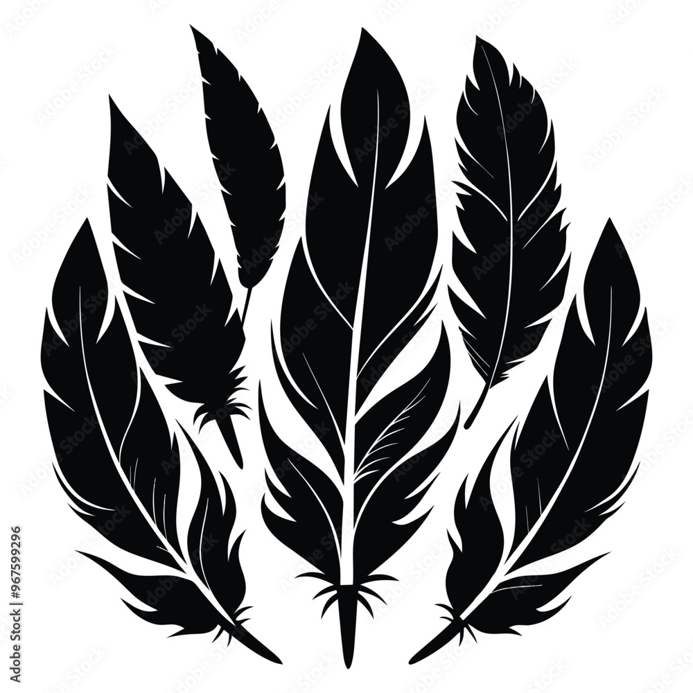 Elegant Feather Silhouettes Vector Set. Elegant Feather Silhouettes Vector Set.