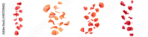 falling poppy petals on white background,transparent background photo