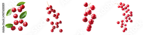 falling ripe barberries on white background, full depth of field,transparent background photo