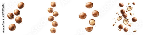 Wallpaper Mural falling ripe macadamia nuts on white background, full depth of field,transparent background Torontodigital.ca
