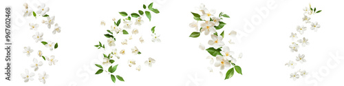 Wallpaper Mural falling jasmine flowers on white background,transparent background Torontodigital.ca
