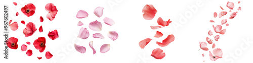 Wallpaper Mural falling anemone petals on white background,transparent background Torontodigital.ca