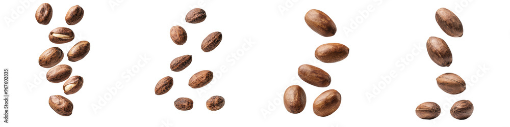 custom made wallpaper toronto digitalfalling ripe shea nuts on white background, full depth of field,transparent background