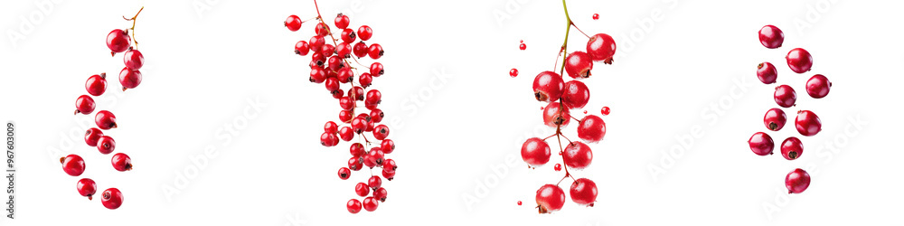 Obraz premium falling ripe pulasan berries on white background, full depth of field,transparent background