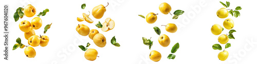 falling ripe quinces on white background, full depth of field,transparent background