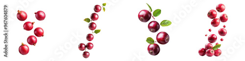 falling ripe kokum fruits on white background, full depth of field,transparent background