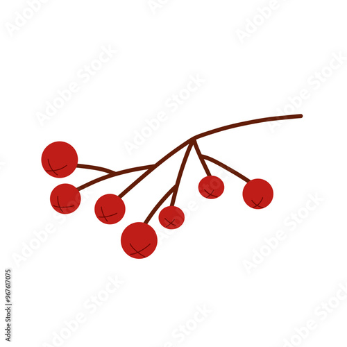 Red rowan branch. Autumn berry, botanical vector simple illustration.
