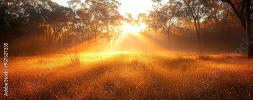 A meadow at sunrise, with golden light filtering through the mist and highlighting the dew-covered grass photo