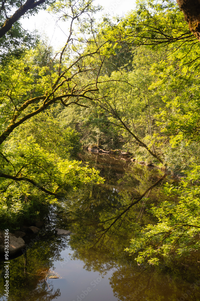 Rivière La Vonne, Ménigoute, Deux Sèvres, 79, France Rivière La Vonne, Ménigoute, Deux Sèvres, 79, France