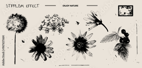 Vintage y2k set of dandelion, chamomile, sunflower, fennel, daisy, branch currant with retro negative photocopy effect. Flowers grunge with a grainy effect and stippling. Vector illustration