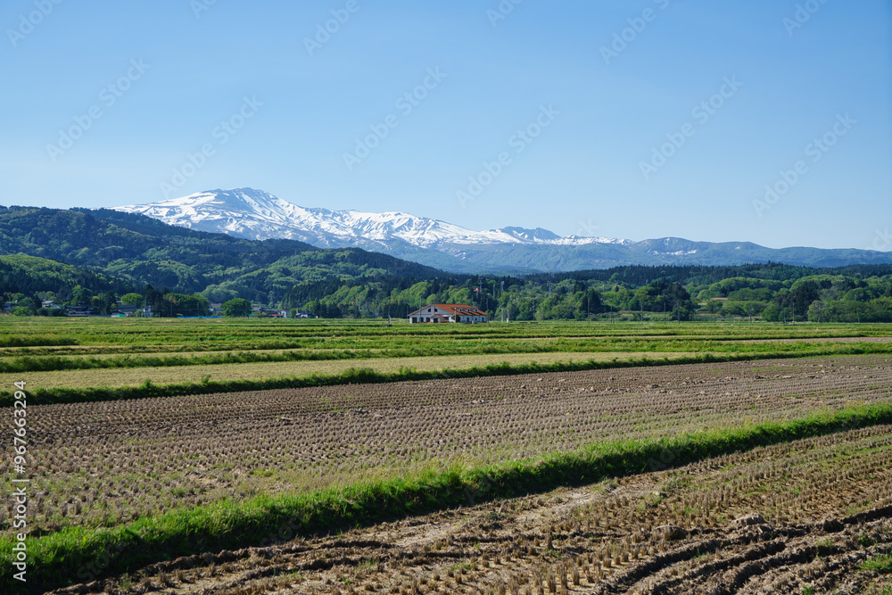 鳥海山の田園風景 鳥海山の田園風景