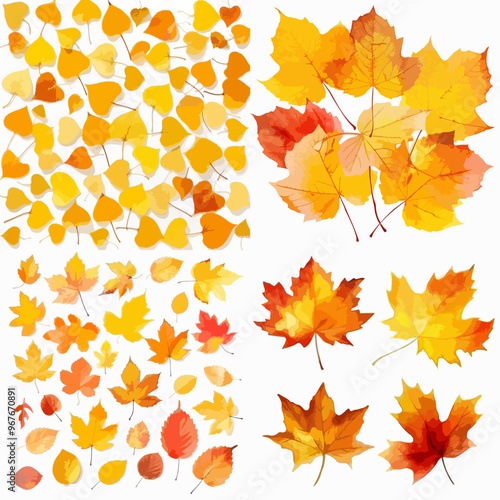 A collection of yellow leaves with some red leaves