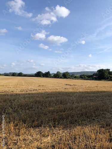 A field of winter wheat stubble after harvest in August, North Yorkshire, UK