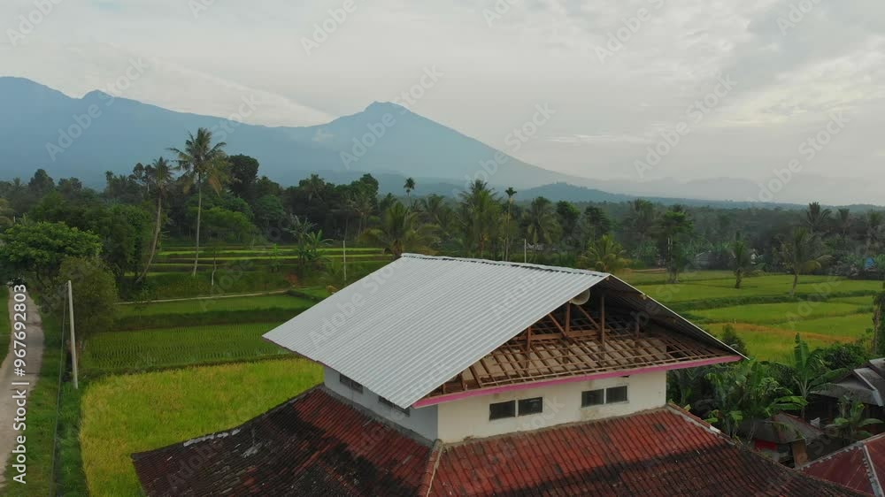Aerial view of lush rice terraces and tropical vegetation with picturesque houses and palm trees, Nusa Penida, Indonesia.