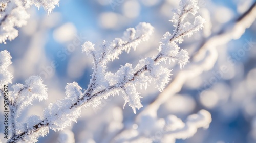 Frost-covered branches glisten in soft winter light, creating a serene, icy landscape.