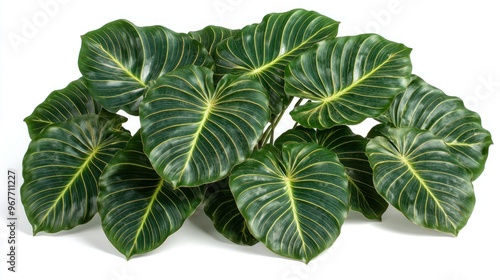 Vibrant tropical leaves create a lush indoor oasis with vivid green hues