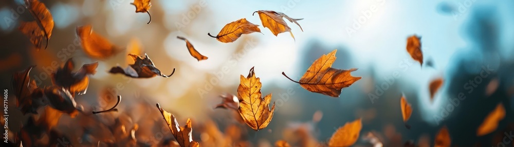 Autumn Leaves in Motion Capturing Nature's Dance. Autumn Leaves in Motion Capturing Nature's Dance.