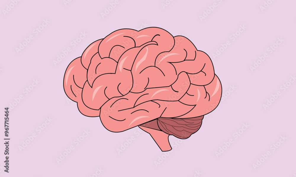 Human brain vector illustration in a flat style. Human brain. Abstract modern 3d vector illustration on a blue background. Human brain vector hand drawn. limbic brain. Artificial intelligence. Vector. Human brain vector illustration in a flat style. Human brain. Abstract modern 3d vector illustration on a blue background. Human brain vector hand drawn. limbic brain. Artificial intelligence. Vector.