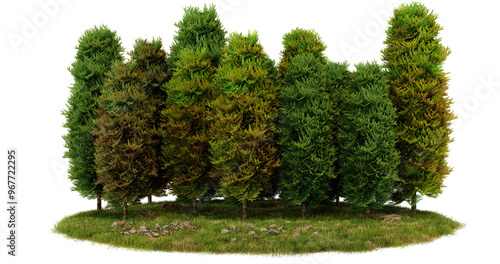 Green model trees on a green grass base, isolated on transparent background photo