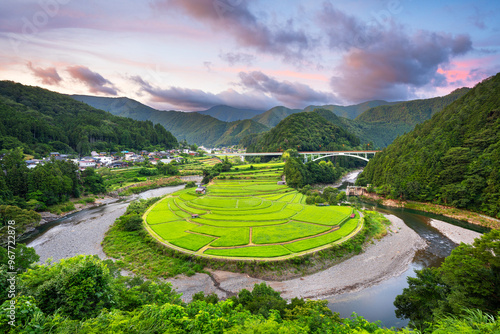 Aragijima rice terrace in Wakayama, Japan photo