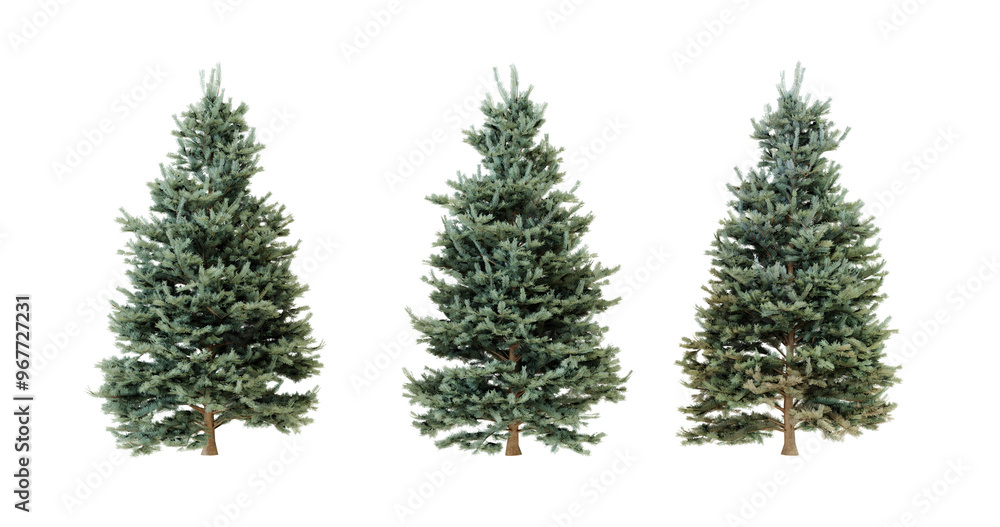 Three Christmas Trees Isolated on transparent background Three Christmas Trees Isolated on transparent background