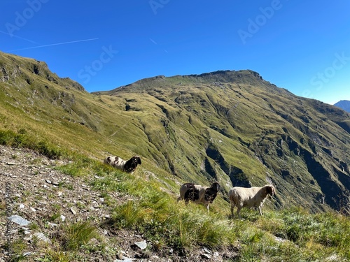 Wanderung Sportgastein - Rauris - Bockhartscharte photo