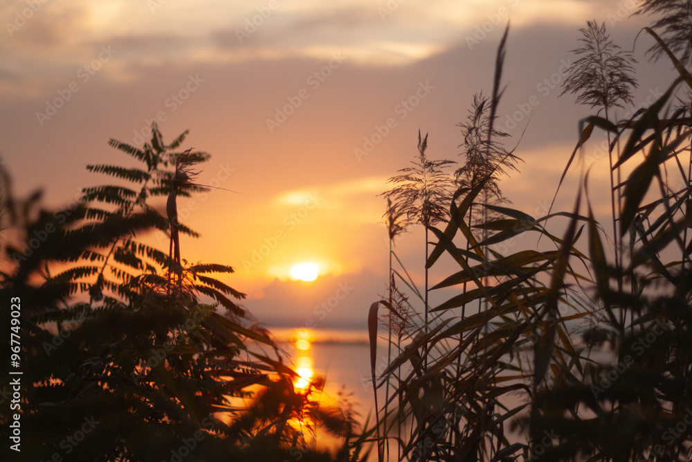 Obraz premium sunset on the beach