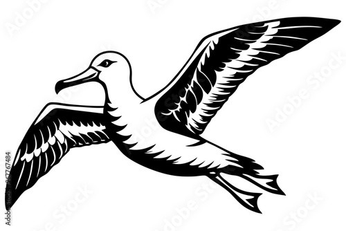 Pelican and black winged stilt birds silhouette in flight show their wings against nature as a wildlife illustration