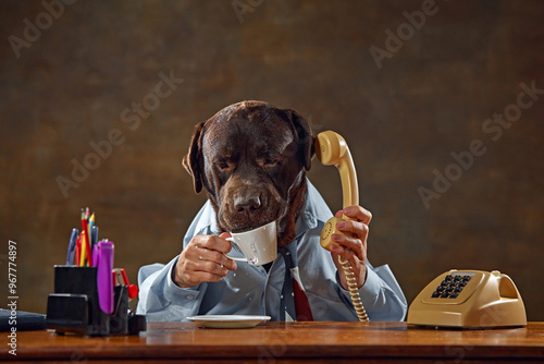 Brown Labrador, dog wearing shirt, sitting at desk, holding phone to ear, and drinking from cup. Conversation with partners. Concept of animal themes, fun, business
