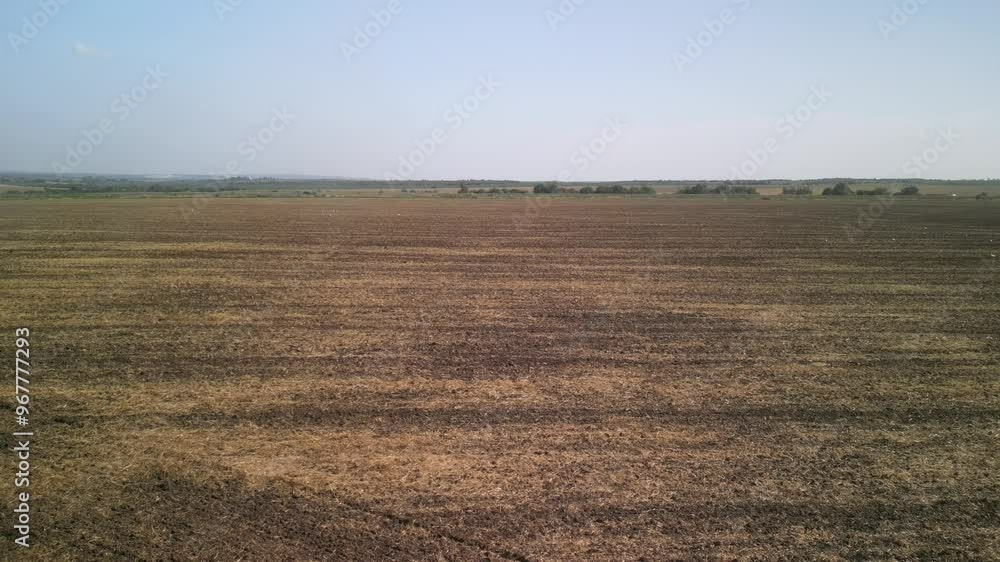 Tractor working on the field doing tillage with cultivator Tractor working on the field doing tillage with cultivator