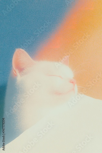 decorated with a sun and a little white cat, a hand illustration in the style of a vector illustration