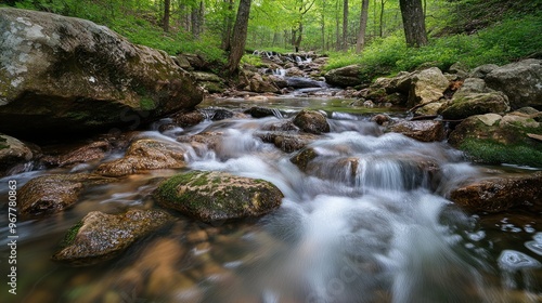 A serene stream flows over rocks in a lush, green forest.